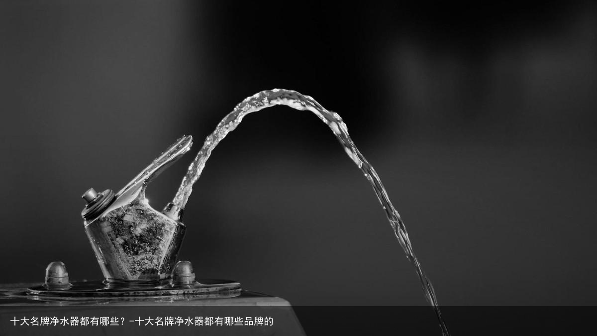 十大名牌净水器都有哪些？-十大名牌净水器都有哪些品牌的