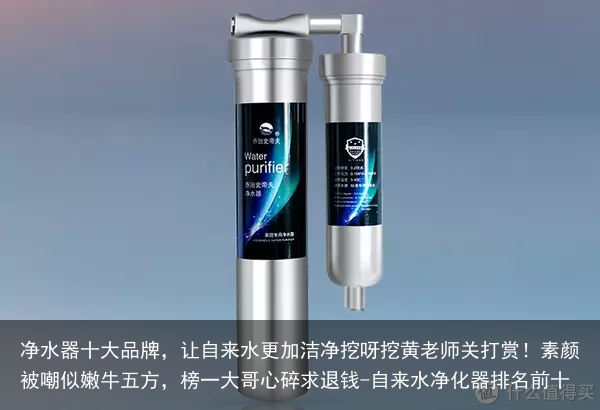 净水器十大品牌，让自来水更加洁净挖呀挖黄老师关打赏！素颜被嘲似嫩牛五方，榜一大哥心碎求退钱-自来水净化器排名前十
