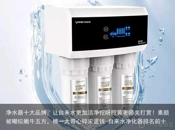 净水器十大品牌，让自来水更加洁净挖呀挖黄老师关打赏！素颜被嘲似嫩牛五方，榜一大哥心碎求退钱-自来水净化器排名前十