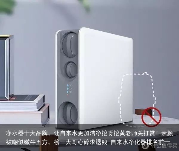 净水器十大品牌，让自来水更加洁净挖呀挖黄老师关打赏！素颜被嘲似嫩牛五方，榜一大哥心碎求退钱-自来水净化器排名前十