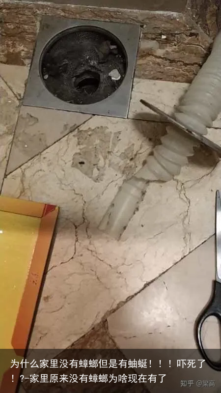 为什么家里没有蟑螂但是有蚰蜒！！！吓死了！?-家里原来没有蟑螂为啥现在有了