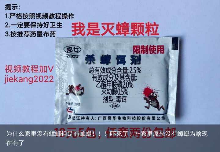 为什么家里没有蟑螂但是有蚰蜒！！！吓死了！?-家里原来没有蟑螂为啥现在有了