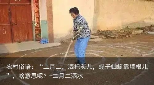 农村俗语：“二月二，洒把灰儿，蝎子蚰蜒靠墙根儿”，啥意思呢？-二月二洒水