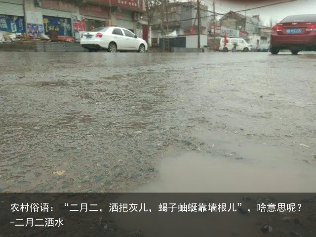 农村俗语：“二月二，洒把灰儿，蝎子蚰蜒靠墙根儿”，啥意思呢？-二月二洒水