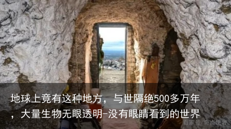 地球上竟有这种地方，与世隔绝500多万年，大量生物无眼透明-没有眼睛看到的世界
