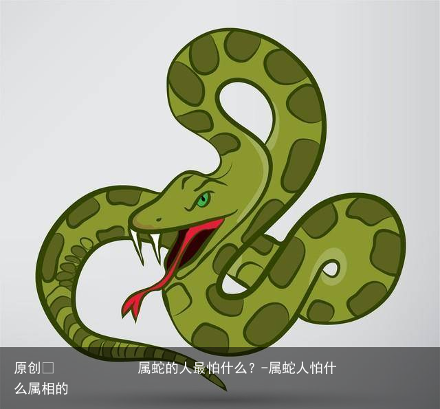 属蛇的人最怕什么？-属蛇人怕什么属相的