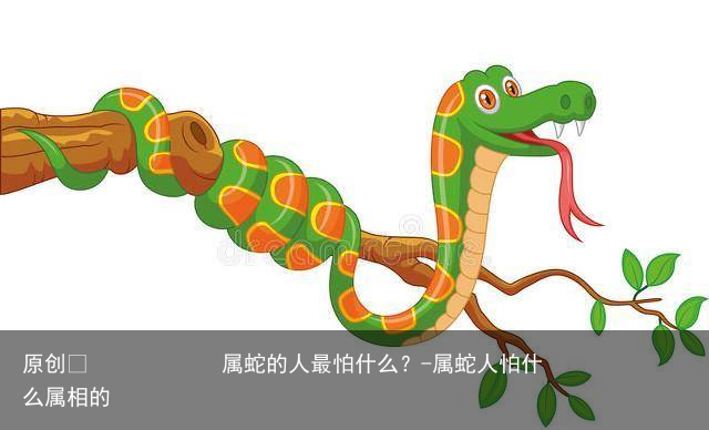 属蛇的人最怕什么？-属蛇人怕什么属相的