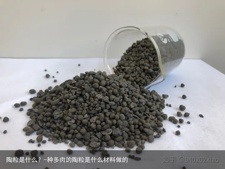 陶粒是什么？-种多肉的陶粒是什么材料做的