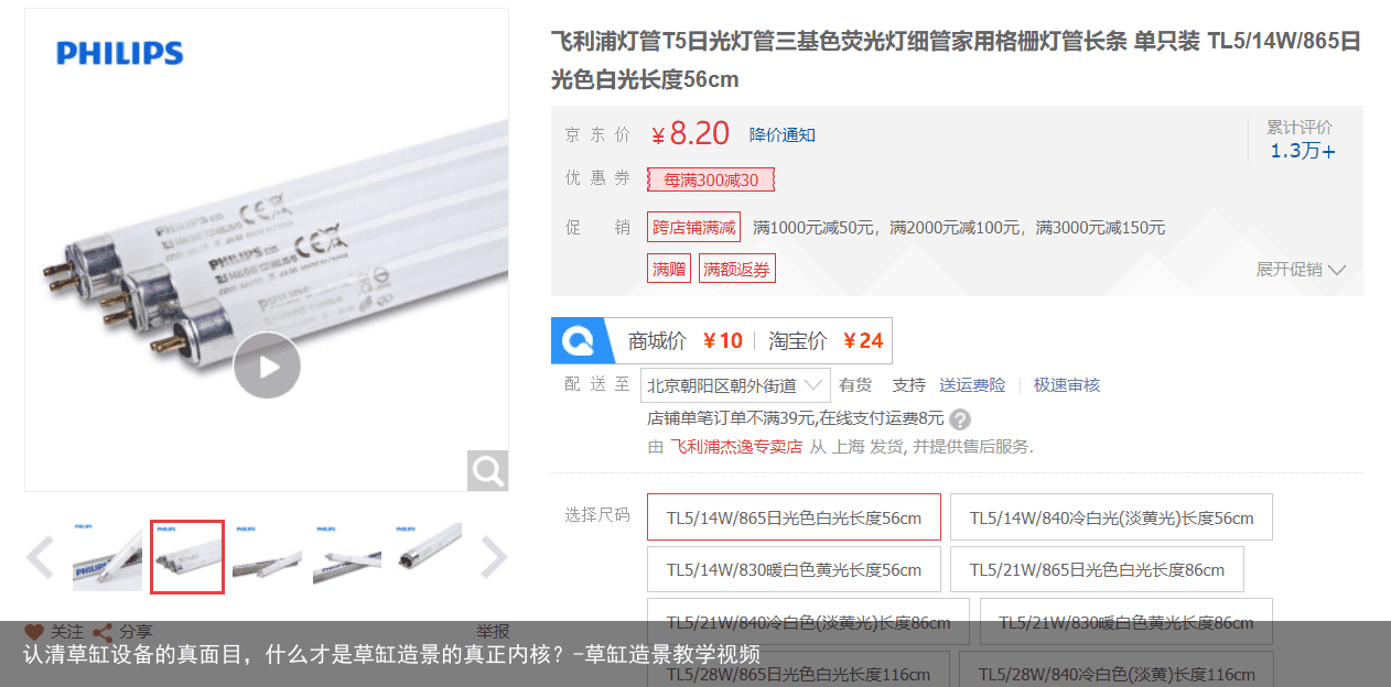 认清草缸设备的真面目，什么才是草缸造景的真正内核？-草缸造景教学视频