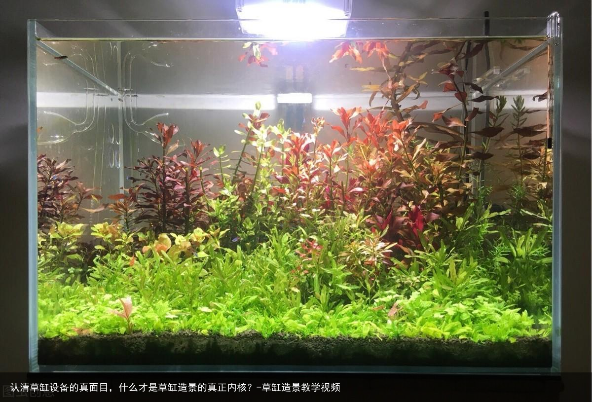 认清草缸设备的真面目，什么才是草缸造景的真正内核？-草缸造景教学视频