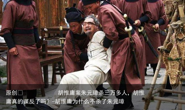 胡惟庸案朱元璋杀三万多人，胡惟庸真的谋反了吗？