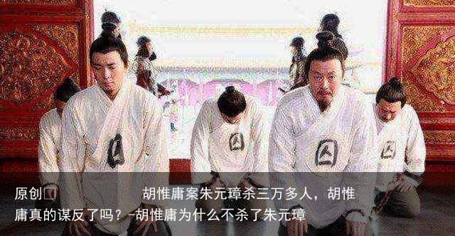 胡惟庸案朱元璋杀三万多人，胡惟庸真的谋反了吗？