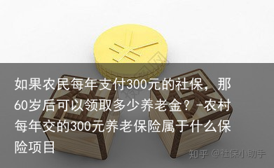如果农民每年支付300元的社保，那60岁后可以领取多少养老金？-农村每年交的300元养老保险属于什么保险项目