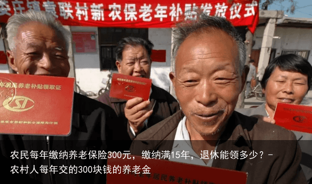 农民每年缴纳养老保险300元，缴纳满15年，退休能领多少？-农村人每年交的300块钱的养老金