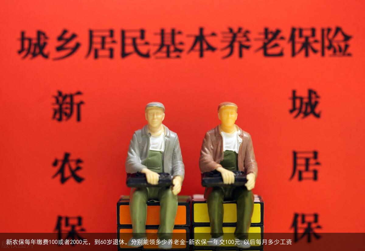 新农保每年缴费100或者2000元，到60岁退休，分别能领多少养老金-新农保一年交100元,以后每月多少工资