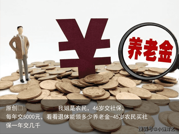 我姐是农民，46岁交社保，每年交5000元，看看退休能领多少养老金