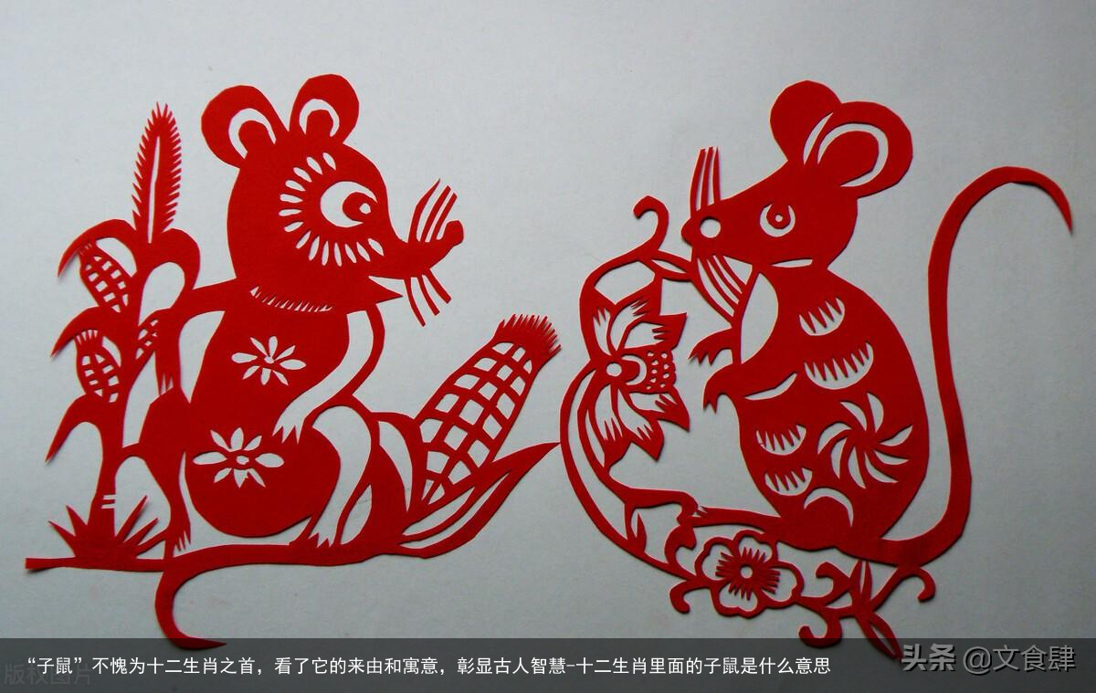 “子鼠”不愧为十二生肖之首，看了它的来由和寓意，彰显古人智慧-十二生肖里面的子鼠是什么意思