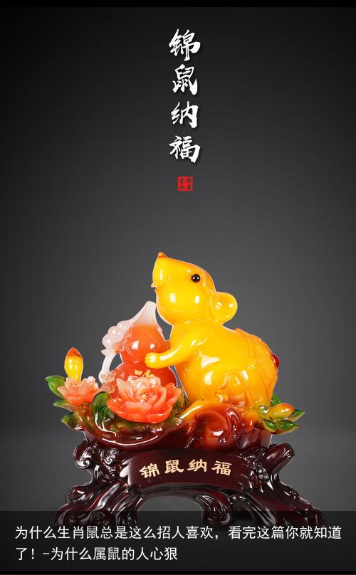 为什么生肖鼠总是这么招人喜欢，看完这篇你就知道了！-为什么属鼠的人心狠