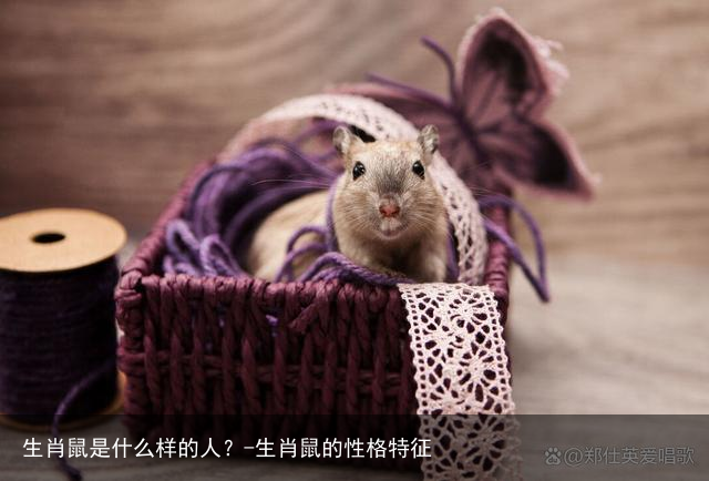 生肖鼠是什么样的人？-生肖鼠的性格特征