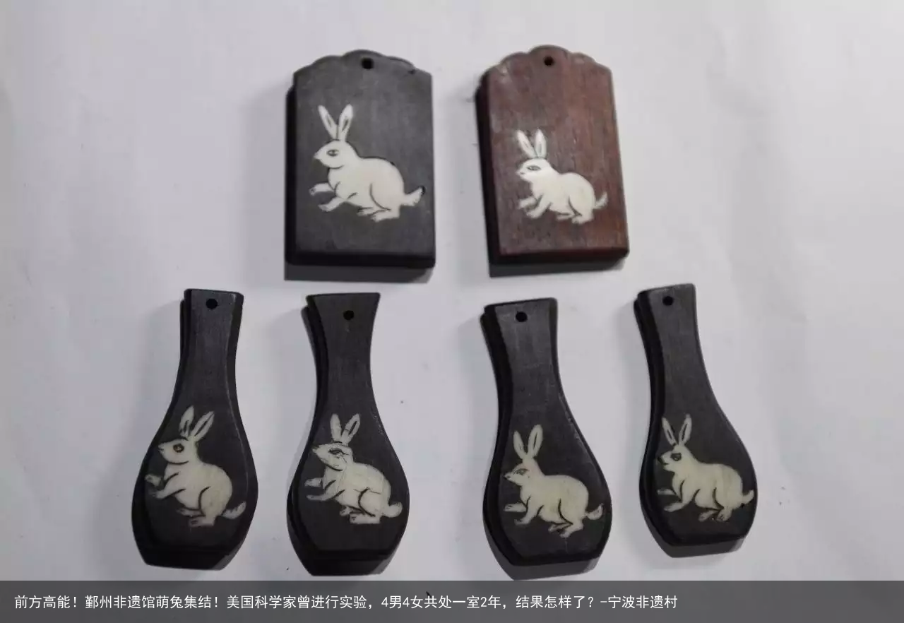 前方高能！鄞州非遗馆萌兔集结！美国科学家曾进行实验，4男4女共处一室2年，结果怎样了？-宁波非遗村