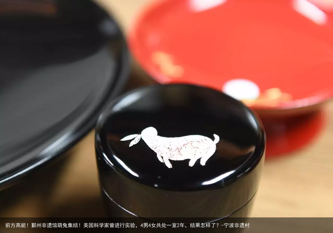 前方高能！鄞州非遗馆萌兔集结！美国科学家曾进行实验，4男4女共处一室2年，结果怎样了？-宁波非遗村