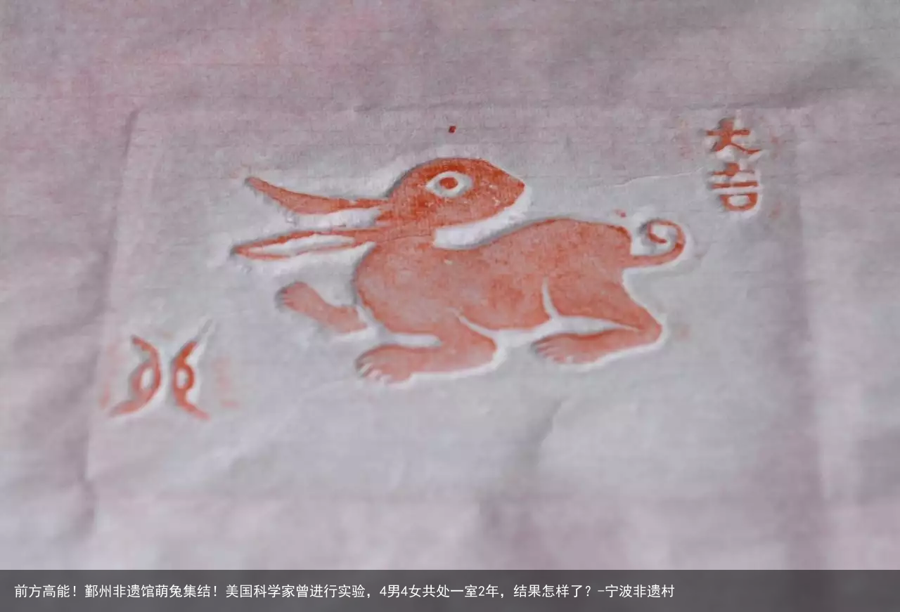 前方高能！鄞州非遗馆萌兔集结！美国科学家曾进行实验，4男4女共处一室2年，结果怎样了？-宁波非遗村