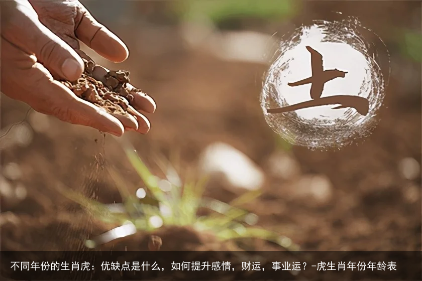 不同年份的生肖虎：优缺点是什么，如何提升感情，财运，事业运？-虎生肖年份年龄表