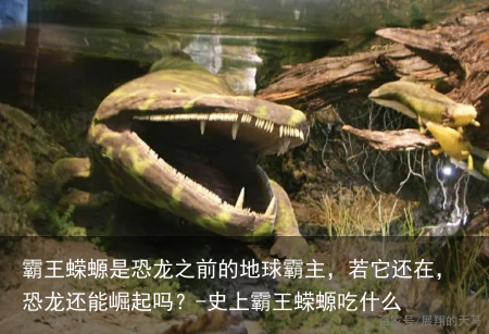 霸王蝾螈是恐龙之前的地球霸主，若它还在，恐龙还能崛起吗？-史上霸王蝾螈吃什么