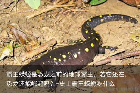 霸王蝾螈是恐龙之前的地球霸主，若它还在，恐龙还能崛起吗？-史上霸王蝾螈吃什么