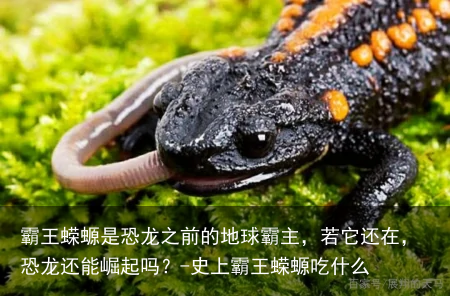 霸王蝾螈是恐龙之前的地球霸主，若它还在，恐龙还能崛起吗？-史上霸王蝾螈吃什么