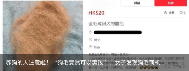 养狗的人注意啦！“狗毛竟然可以卖钱”，女子发现狗毛商机