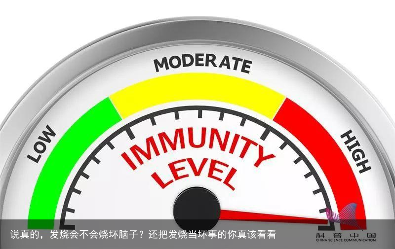 说真的，发烧会不会烧坏脑子？还把发烧当坏事的你真该看看