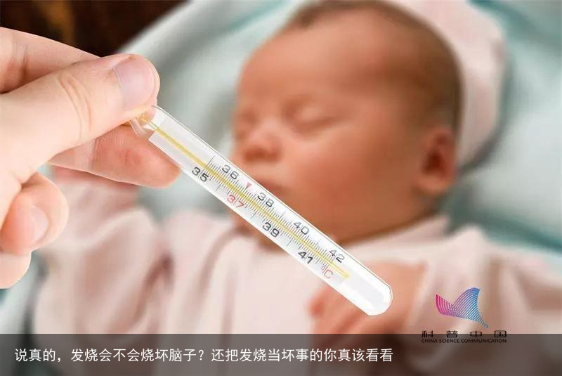 说真的，发烧会不会烧坏脑子？还把发烧当坏事的你真该看看