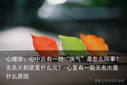 心理学：心中总有一股“戾气”是怎么回事？无名火到底是什么火？-心里有一股无名火是什么原因