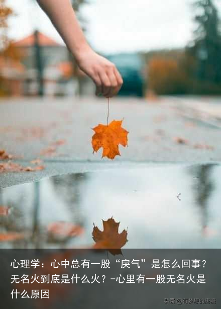 心理学：心中总有一股“戾气”是怎么回事？无名火到底是什么火？-心里有一股无名火是什么原因