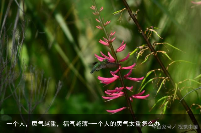 一个人，戾气越重，福气越薄-一个人的戾气太重怎么办
