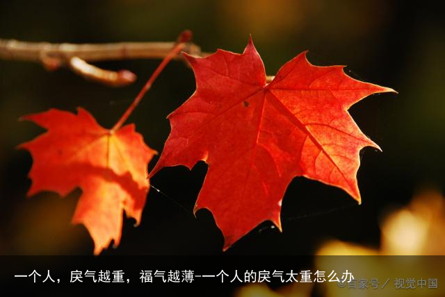 一个人，戾气越重，福气越薄-一个人的戾气太重怎么办