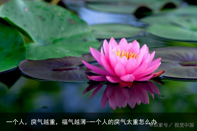 一个人，戾气越重，福气越薄-一个人的戾气太重怎么办