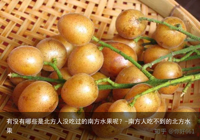 有没有哪些是北方人没吃过的南方水果呢？-南方人吃不到的北方水果