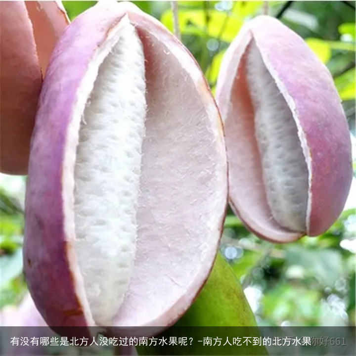 有没有哪些是北方人没吃过的南方水果呢？-南方人吃不到的北方水果