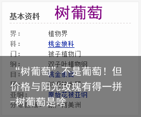 “树葡萄”不是葡萄！但价格与阳光玫瑰有得一拼-树葡萄是啥