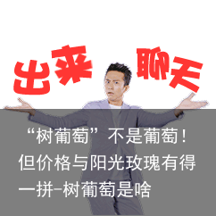 “树葡萄”不是葡萄！但价格与阳光玫瑰有得一拼-树葡萄是啥