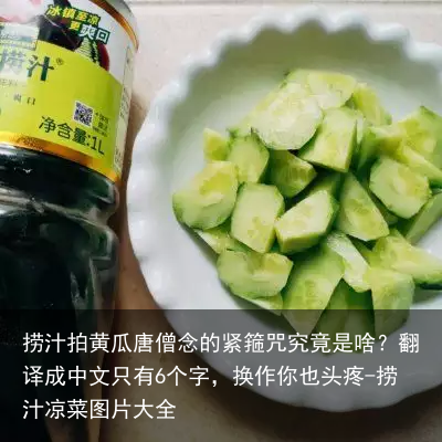 捞汁拍黄瓜-捞汁凉菜图片大全