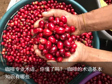 咖啡专业术语，你懂了吗？-咖啡的术语基本知识有哪些