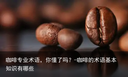 咖啡专业术语，你懂了吗？-咖啡的术语基本知识有哪些