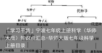 「学习干货」宁波七年级上册科学（华师大版）知识点汇总-华师大版七年级科学上册目录
