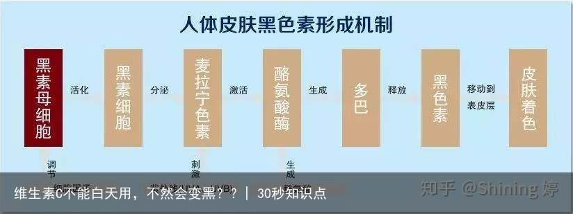 维生素C不能白天用，不然会变黑？？| 30秒知识点