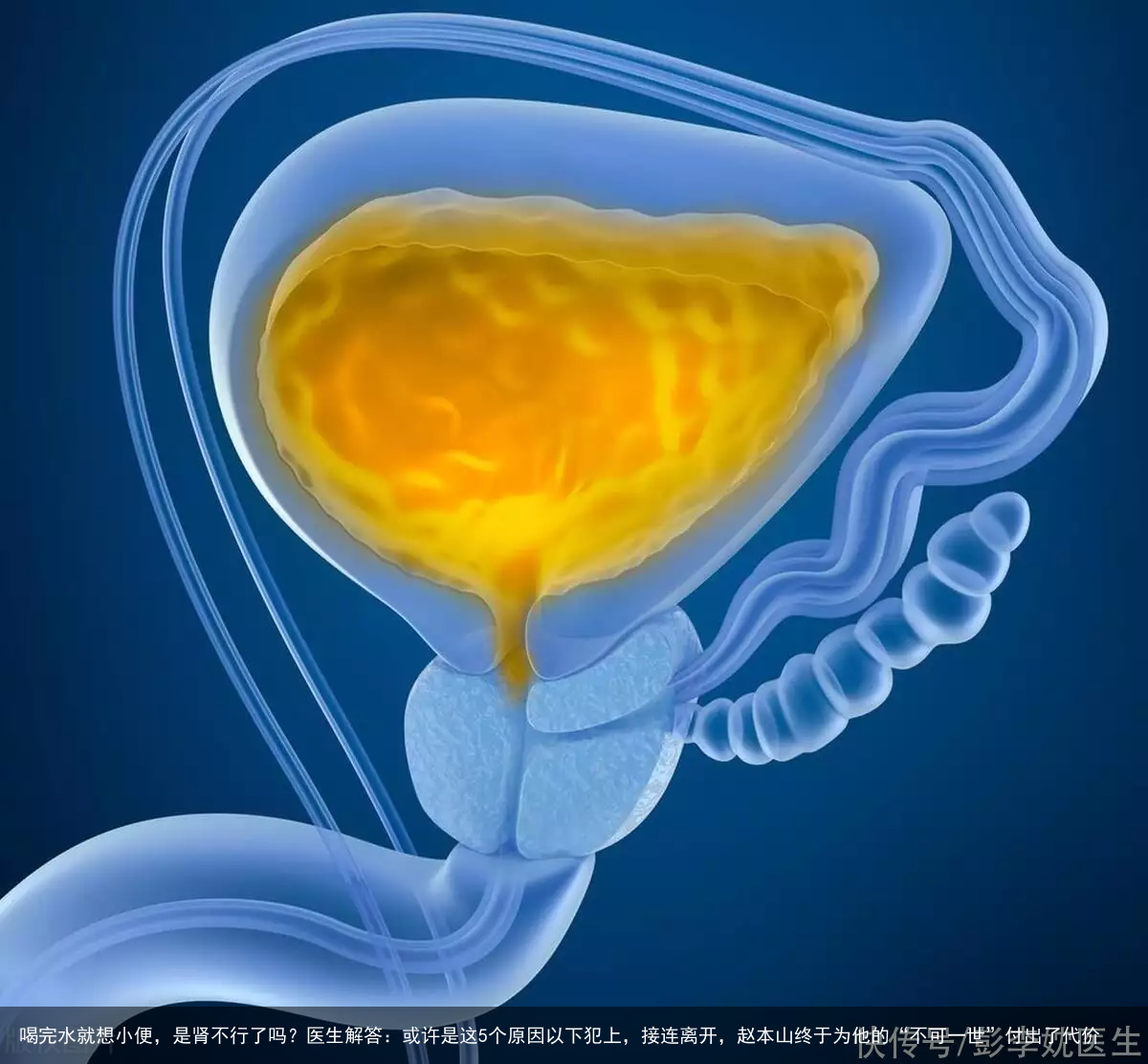 喝完水就想小便，是肾不行了吗？医生解答：或许是这5个原因