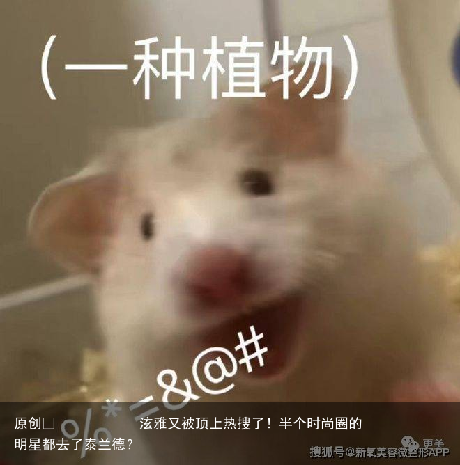 泫雅又被顶上热搜了！半个时尚圈的明星都去了泰兰德？