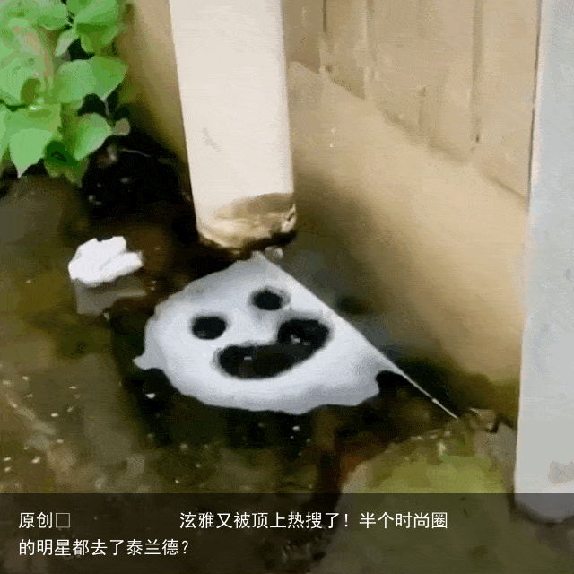 泫雅又被顶上热搜了！半个时尚圈的明星都去了泰兰德？